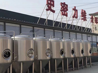 乌审精酿啤酒设备厂—如何判断精酿啤酒设备的密封件需要更换？